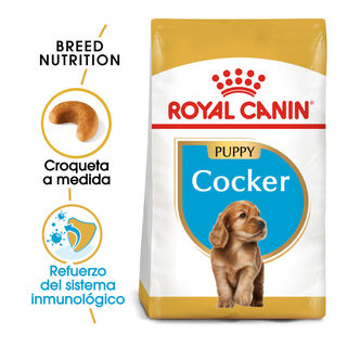 Royal Canin Puppy Cocker pienso para perros